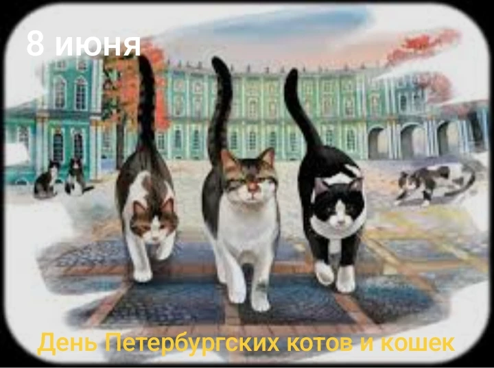 8 июня  День Петербургских котов, праздник, посвященный хвостатым обитателям города! 🐈 🐈‍⬛ 🐈
Глав