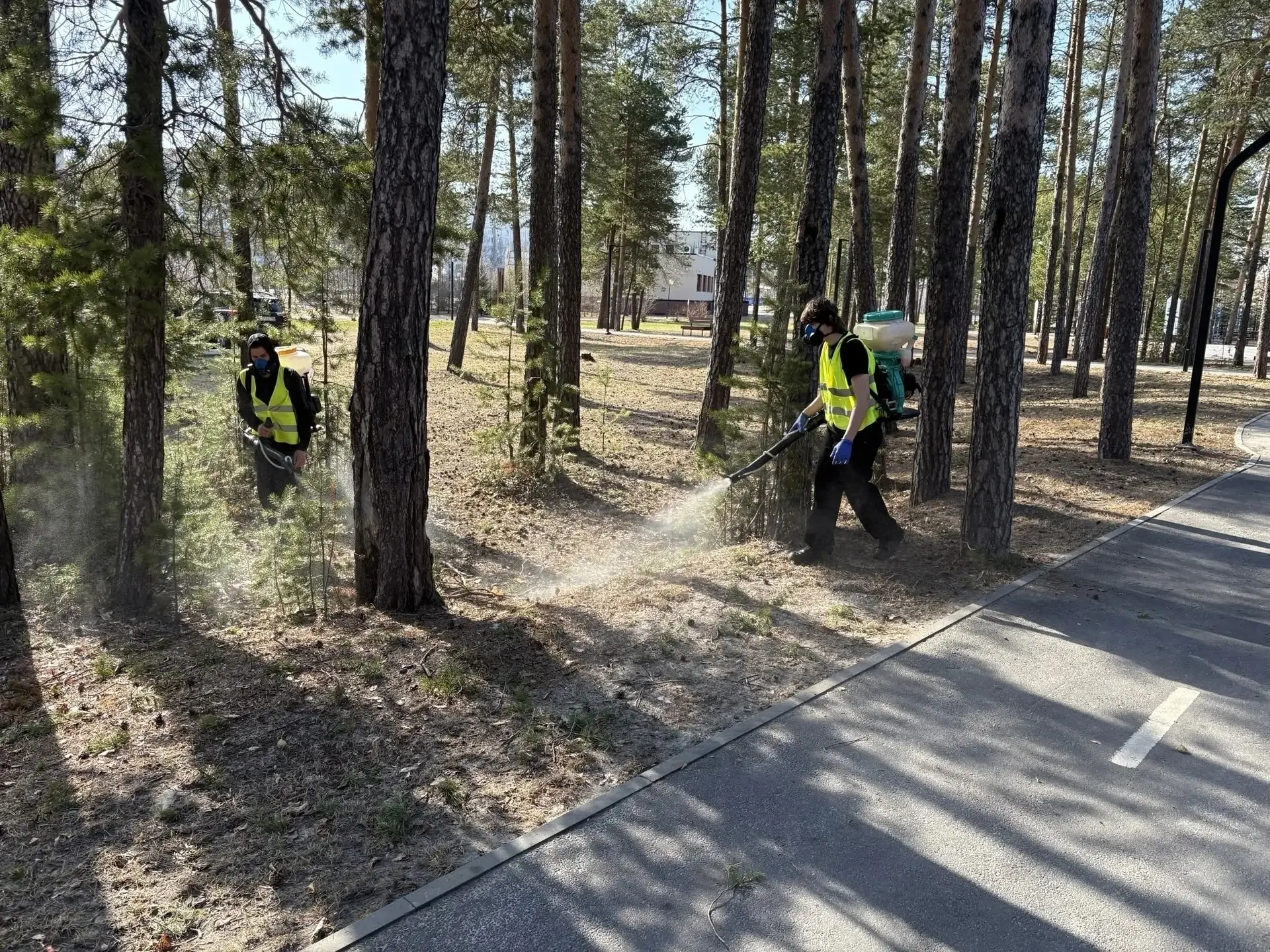 В Когалыме началась акарицидная обработка территорий. 🐜 Это мероприятие проводится ежегодно с целью 