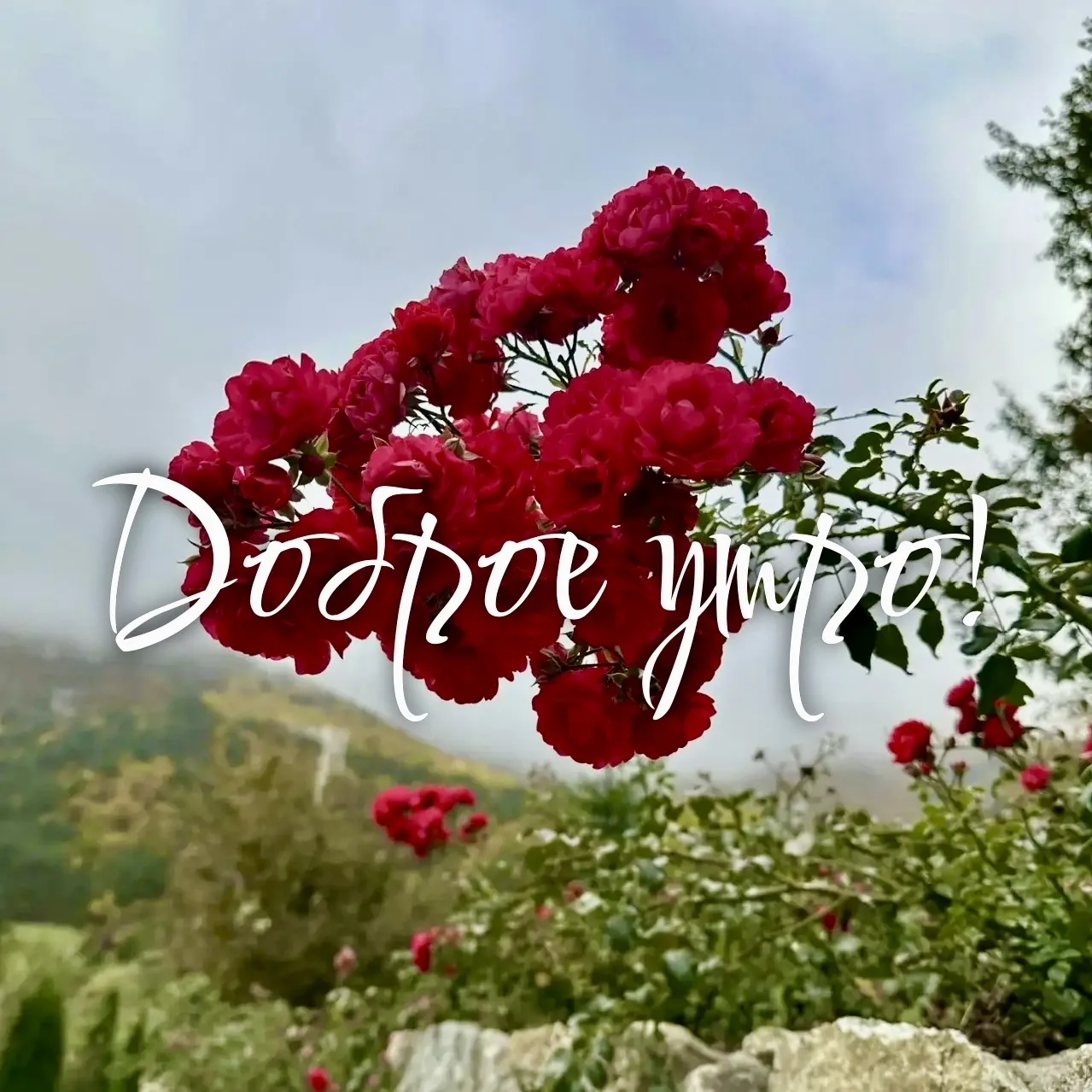 ☀️ УЗНАЙ ПЕРВЫМ!