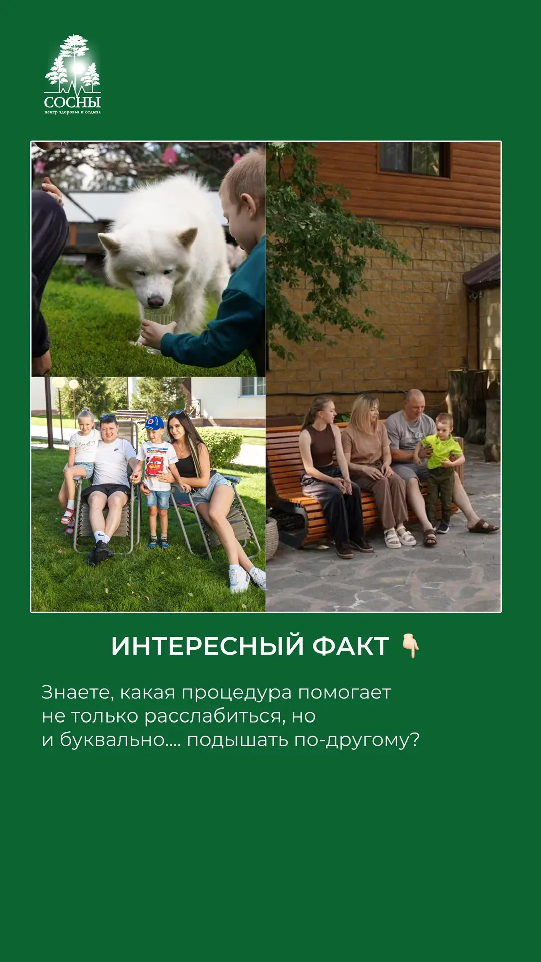 Галокамера — одна из самых спокойных и приятных процедур в «Соснах». Во время сеанса вы отдыхаете в 