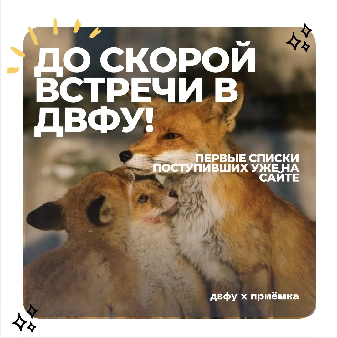 💙 Теперь официально: первые студенты ДВФУ уже зачислены!