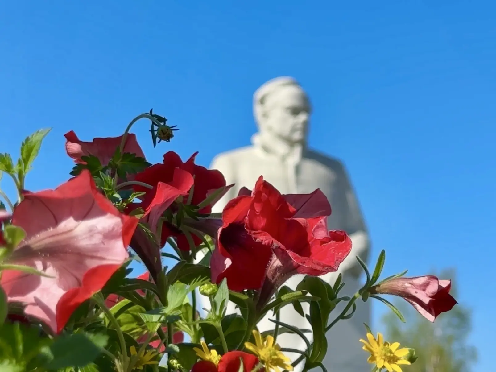 🌿🌺 Каждый год с нетерпением жду этого маленького чуда, когда серые улицы начинают наполняться ярки