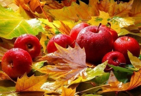 🍂 Осень – пора волшебства и уюта! 🍂
