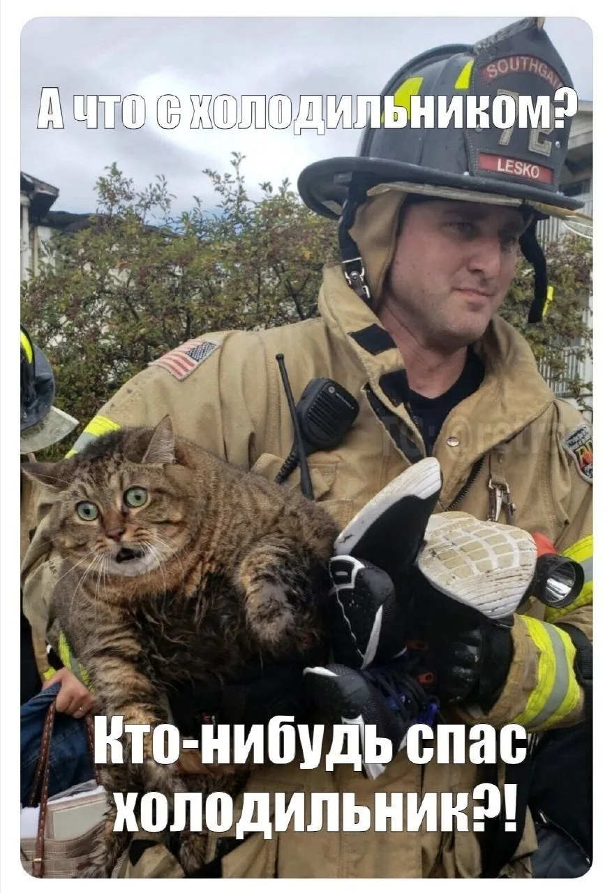 ⚡️ Актуальная информация о наличии топлива на АЗС города Ейска на утро 29 июля 

В городе расположен