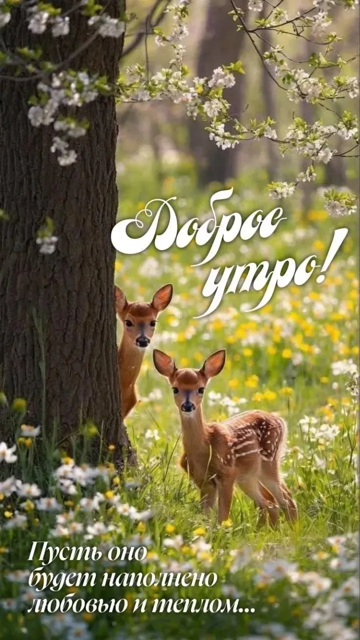 💌 Добрые открытки! Подписаться