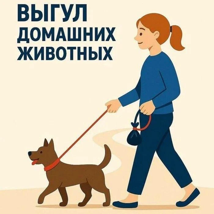 Порядок выгула домашних животных