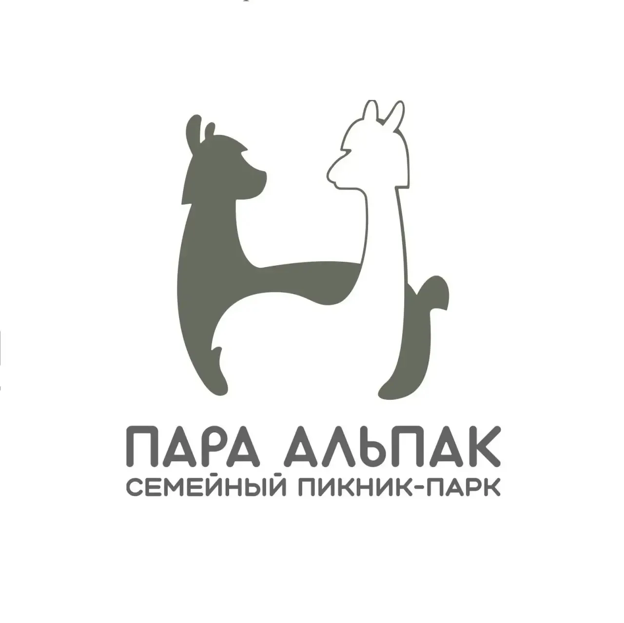 Устроить незабываемые семейные выходные можно с Картой жителя Самарской области в семей...