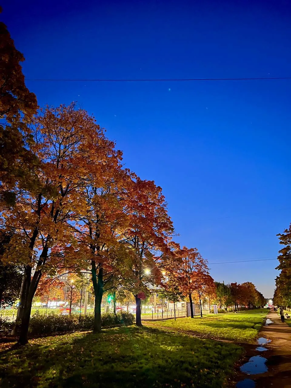 Между пр.Культуры и ул.Руднева. Такая чудесная осень.🍂🍁🫶
