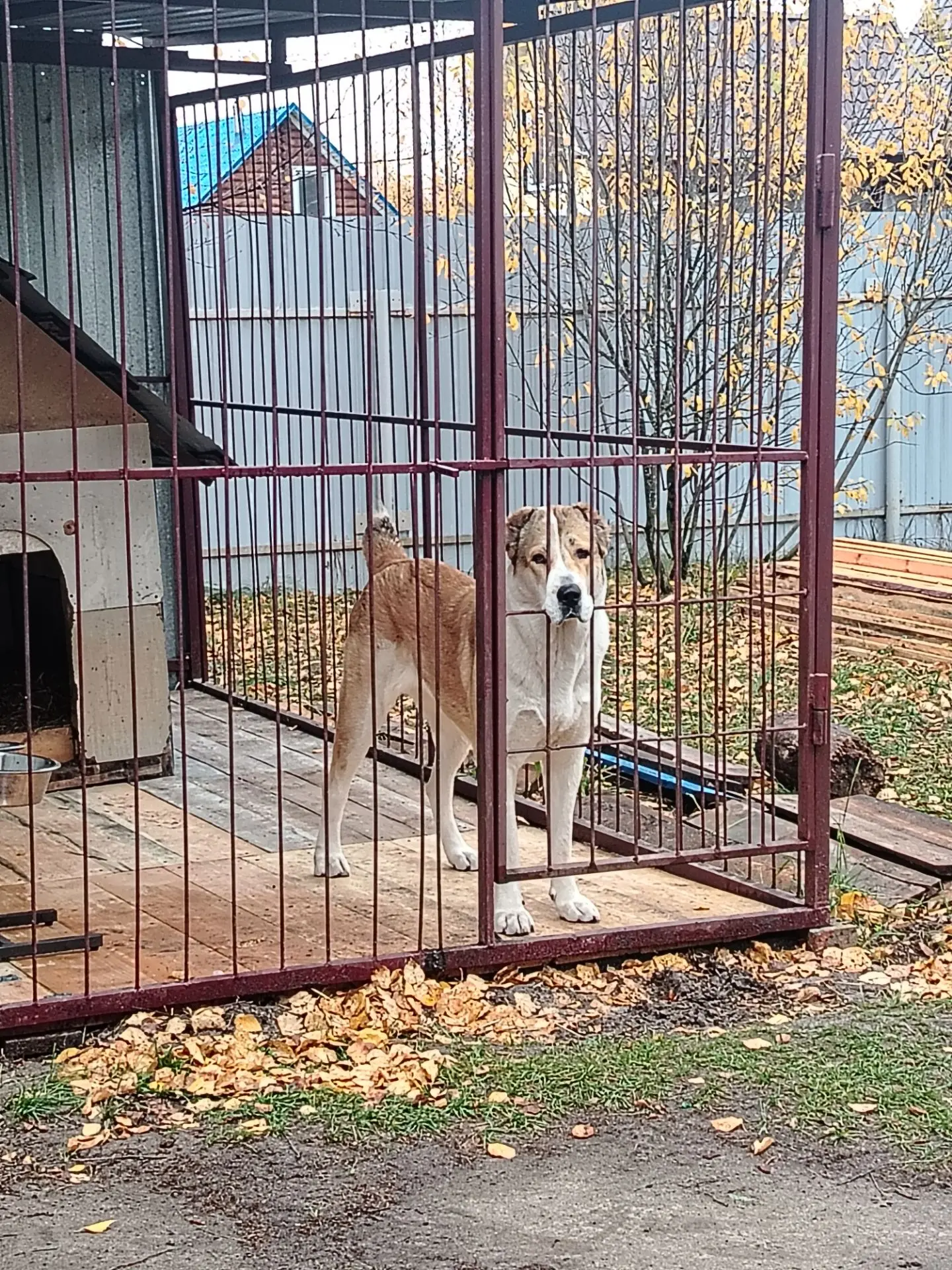 Стоит такая красавица😍 и серьёзная 😊.