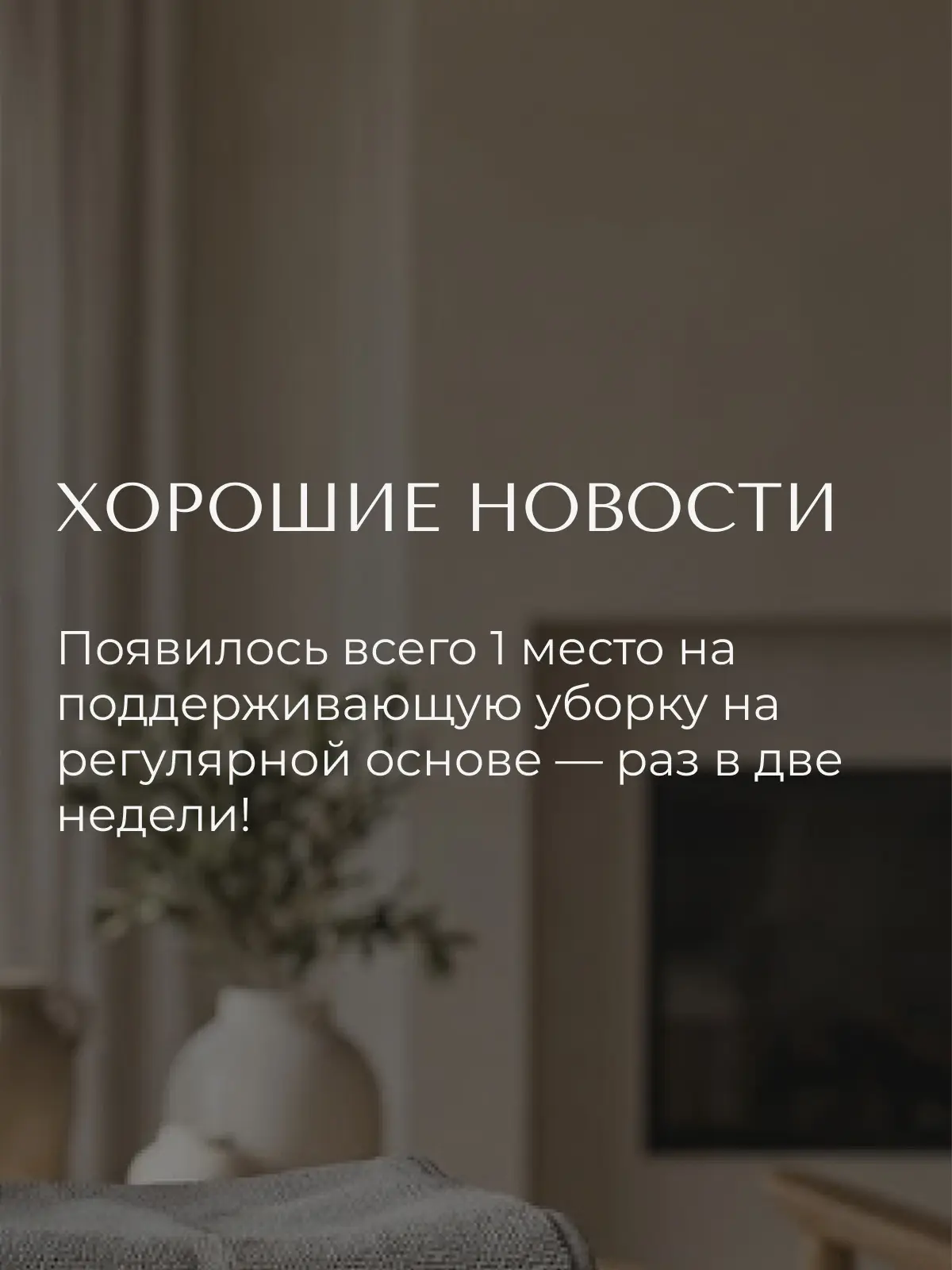 У нас появилось место на поддерживающую уборку с периодичностью раз в 2 недели.