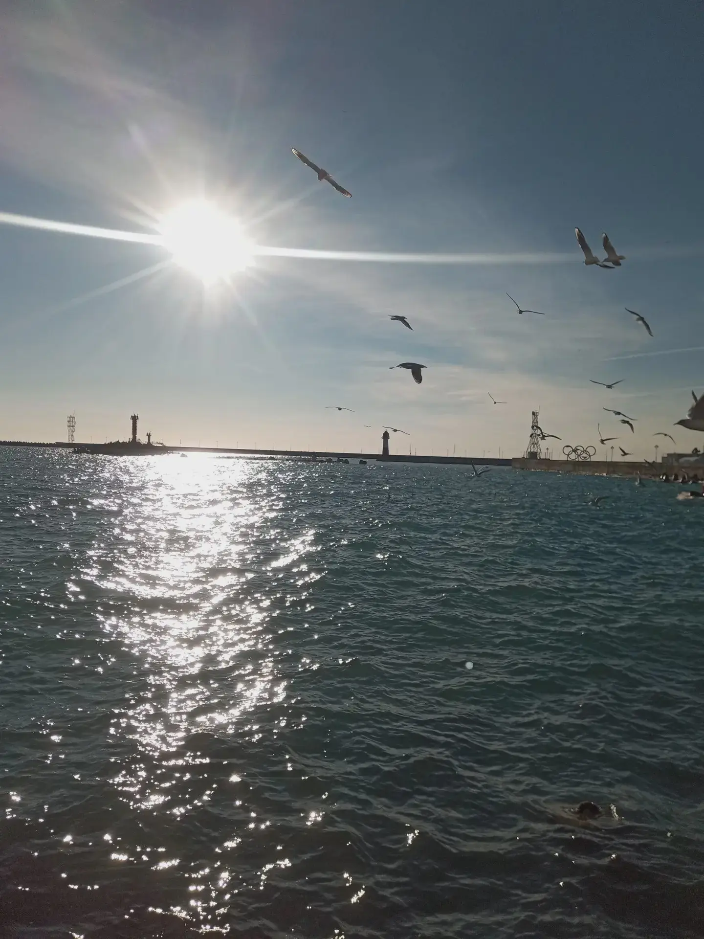 🌊 Роспотребнадзор: пробы морской воды в Сочи в норме