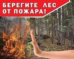 ПРАВИЛА ПОВЕДЕНИЯ В ЛЕСУ