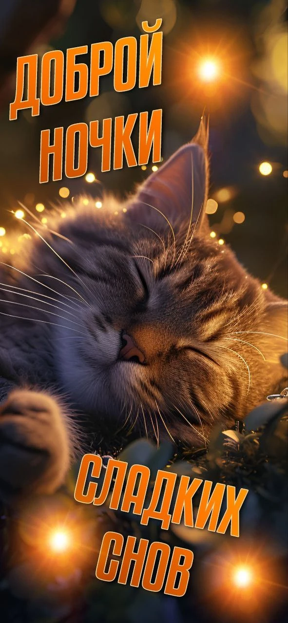 Доброй ночи ✨