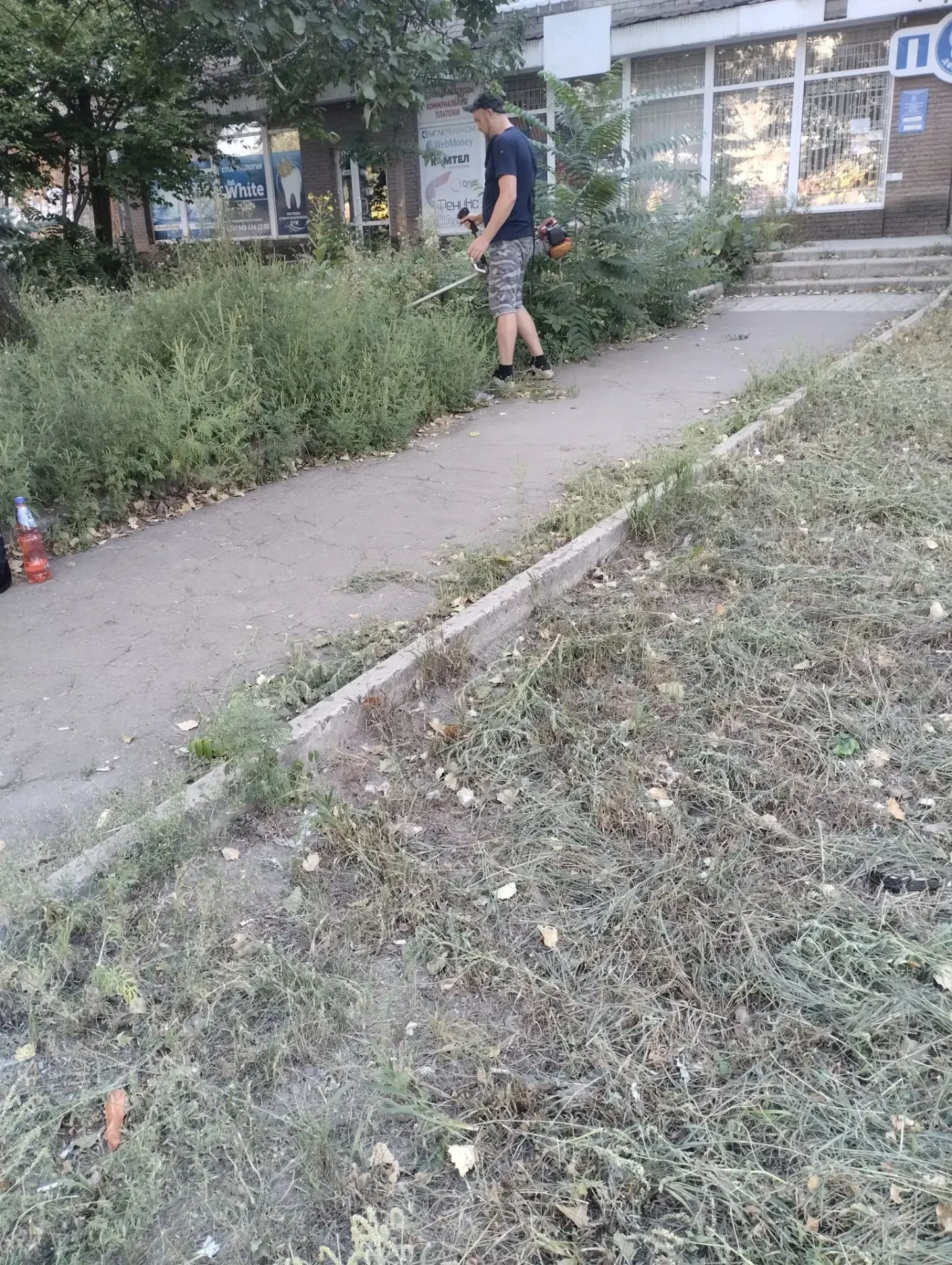 В Центрально-Городском внутригородском районе  продолжается  покос сорных и карантинных...