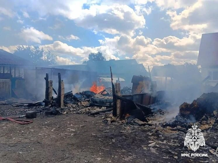 В Сафоновском районе ветер раздул серьёзный пожар