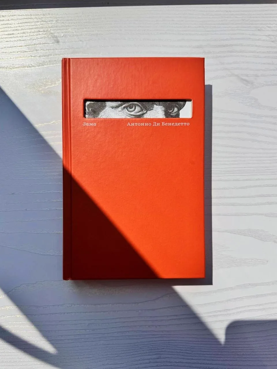 Красивые книжные пополнения: