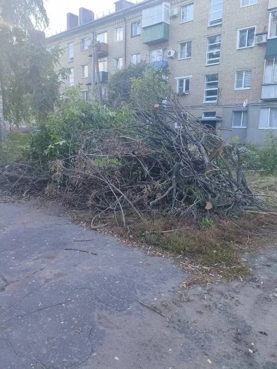 Жители дома №54 на улице Гастелло уже два месяца ждут, когда коммунальные службы уберут...
