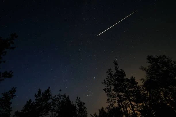 Южноуральцы смогут увидеть самый яркий звездопад года

В ночь с 12 на 13 августа над городом пройдет