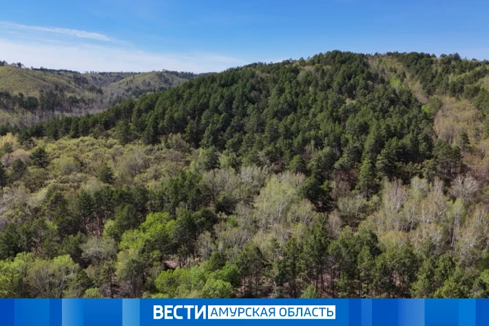 Неприятный сюрприз от майской погоды: температура в регионе опустится до -2 °С  В ближайшие двое сут