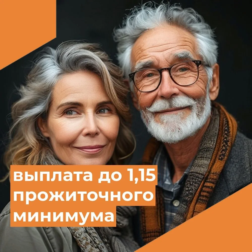 Ежемесячная социальная выплата до 1,15 прожиточного минимума пенсионера в Санкт-Петербурге