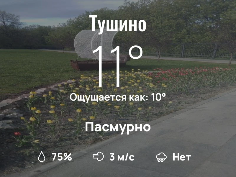 Что с погодой в Тушино?