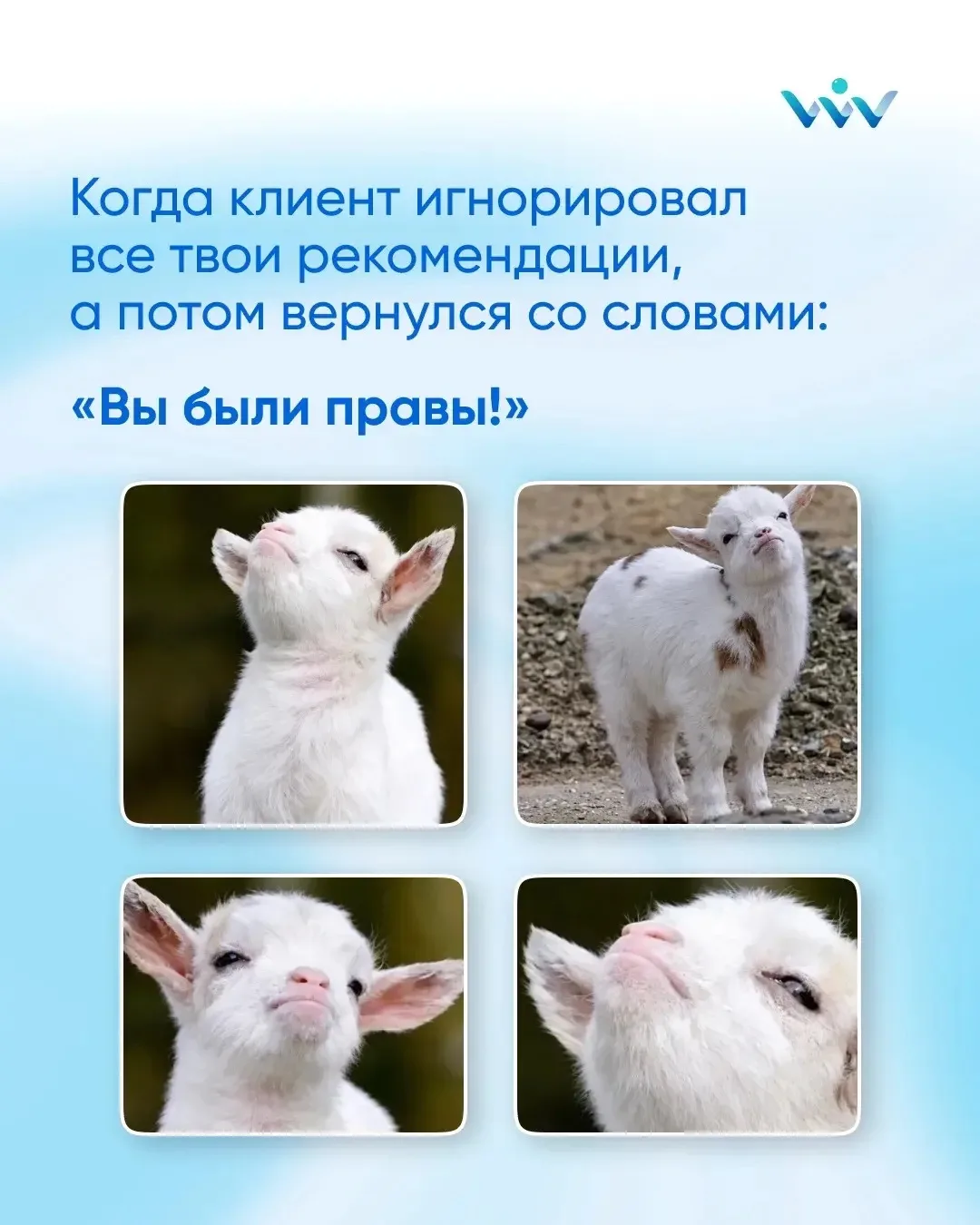 Тот самый момент внутреннего триумфа каждого подолога! 😁