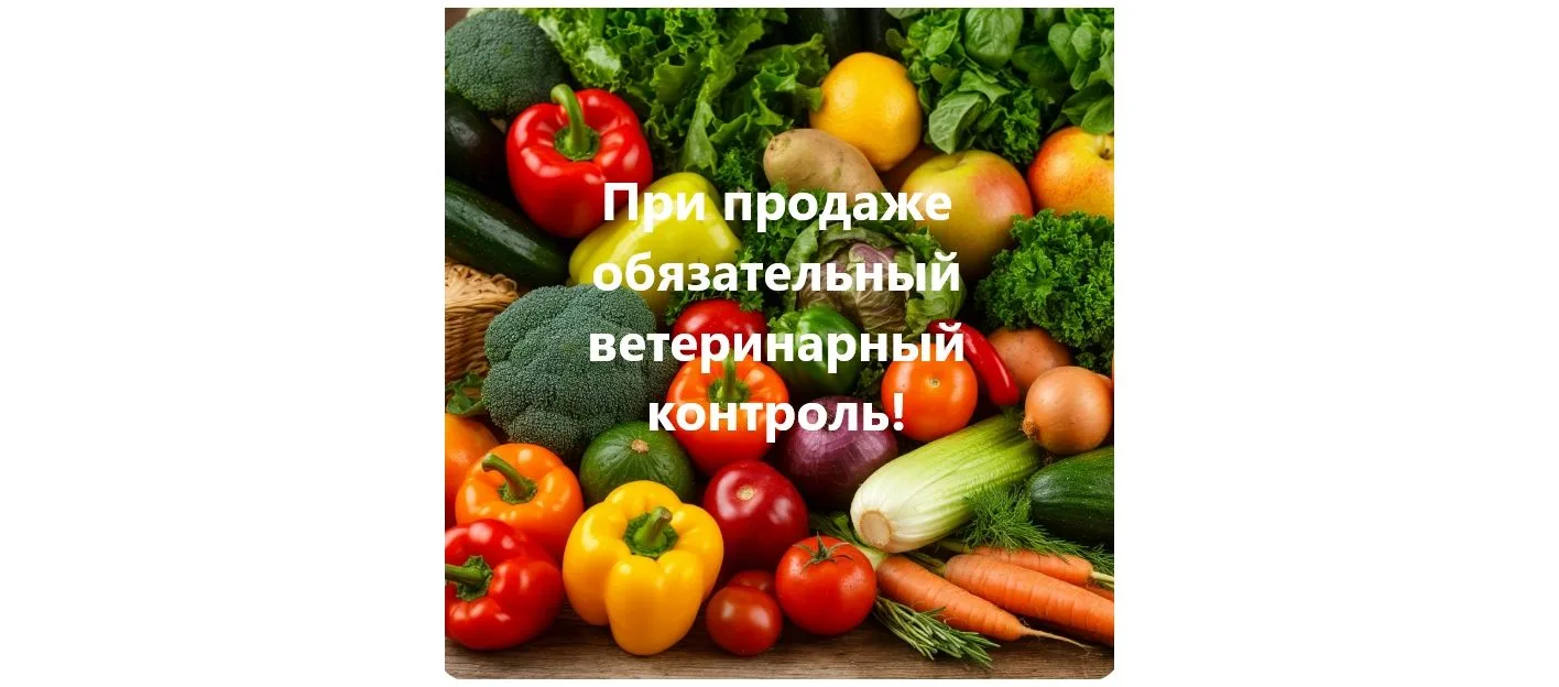 С 1 сентября 2026 года вступил в силу приказ Минсельхоза России № 575 "Об утверждении В...