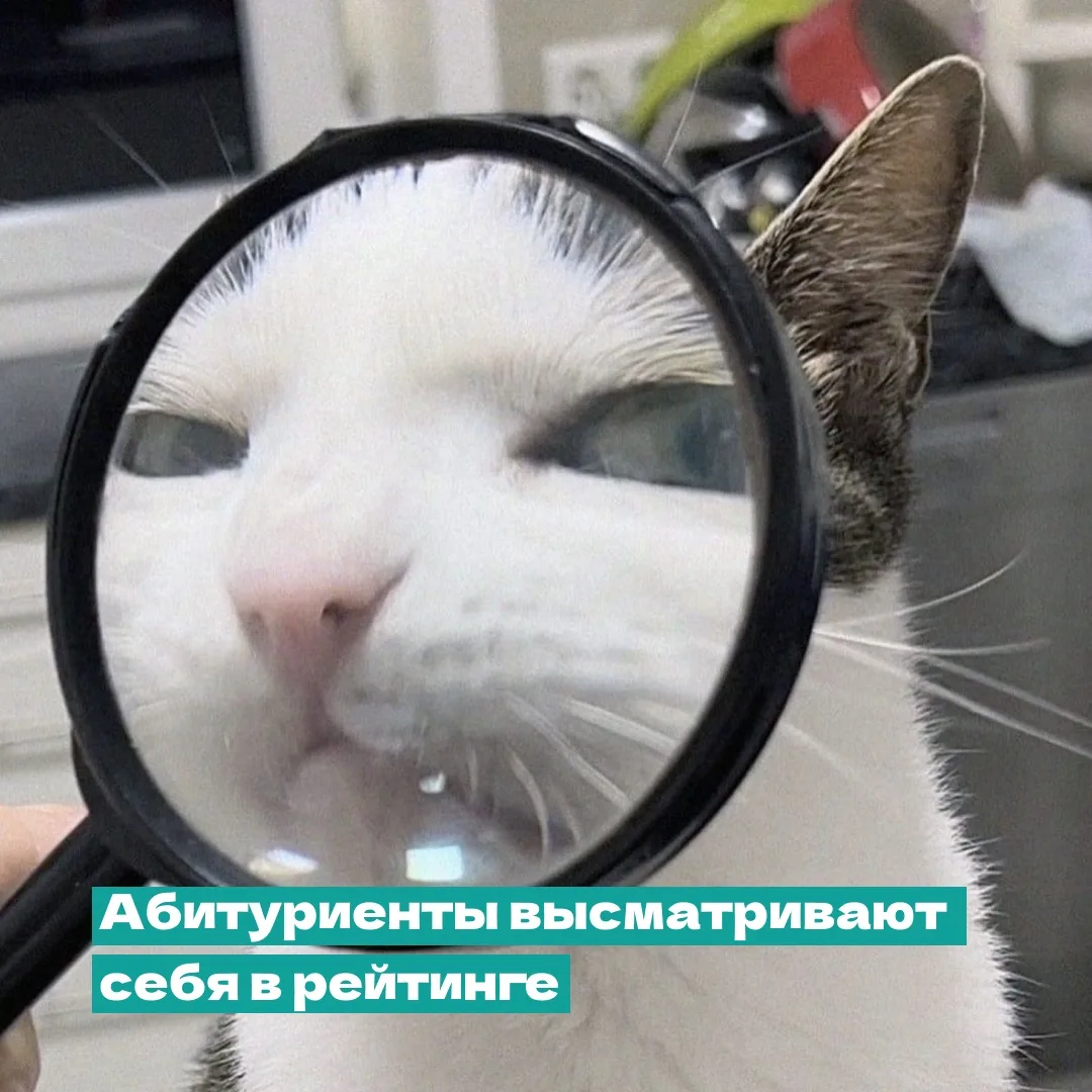 ⏰ Остались считанные дни!