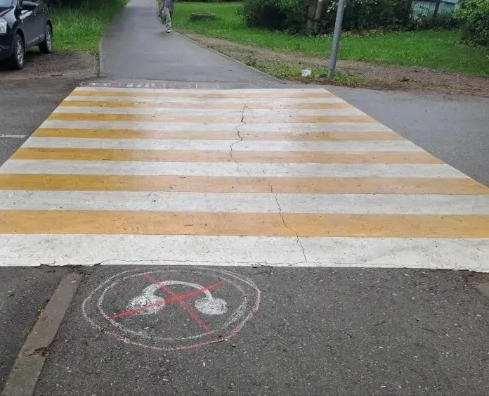 В пришкольном лагере прошла Акция "Безопасный переход", направленная на обеспечение безопасности и п