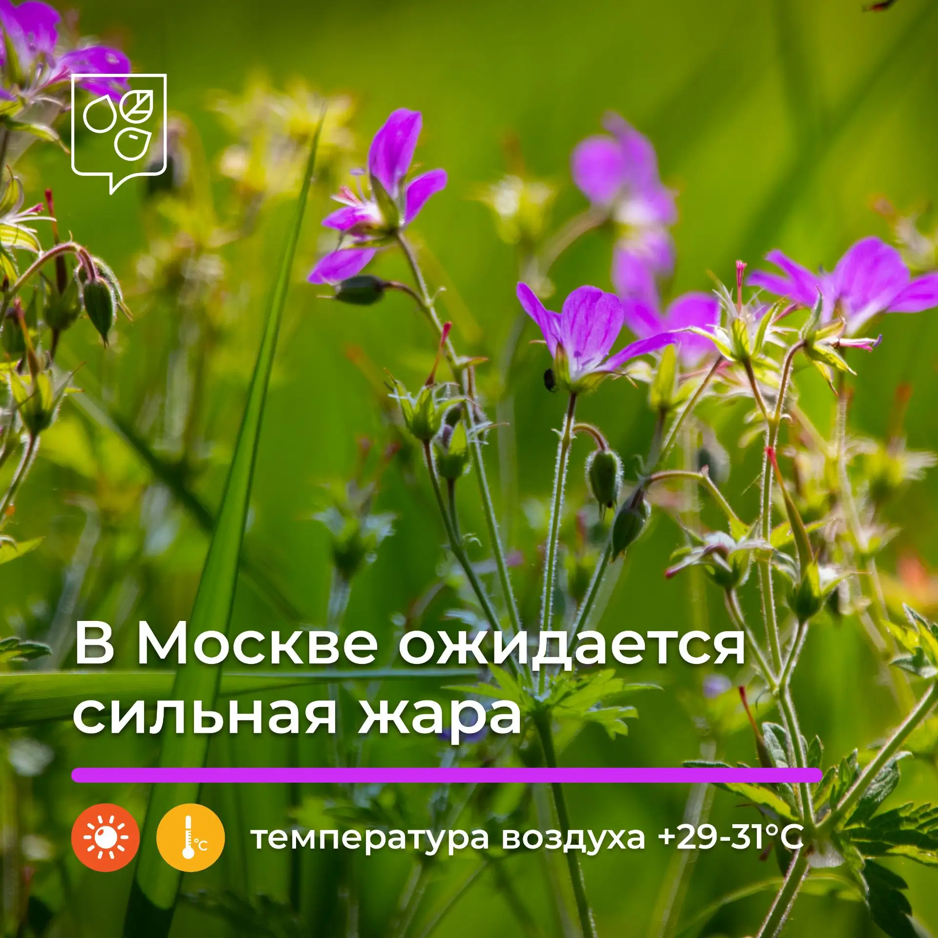 ☀️ В Москве ожидается сильная жара

Синоптики прогнозируют знойную погоду в столице на этих выходных