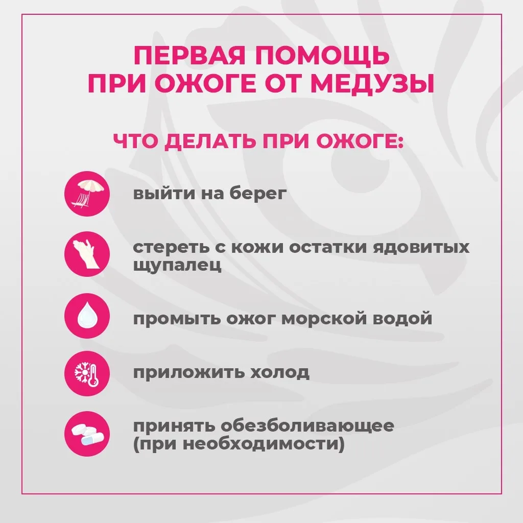 🏖На пляжах Приморья начали появляться медузы-крестовики. Чтобы не омрачить отдых и знать как избежа