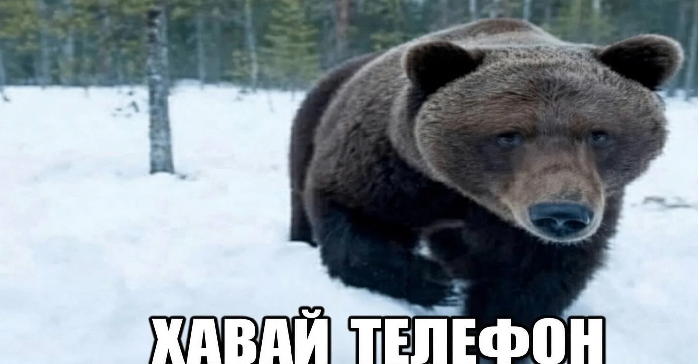 😮Телефон взорвался прямо во рту у медведя — и спас жизнь подростку. В Алтайском крае з...