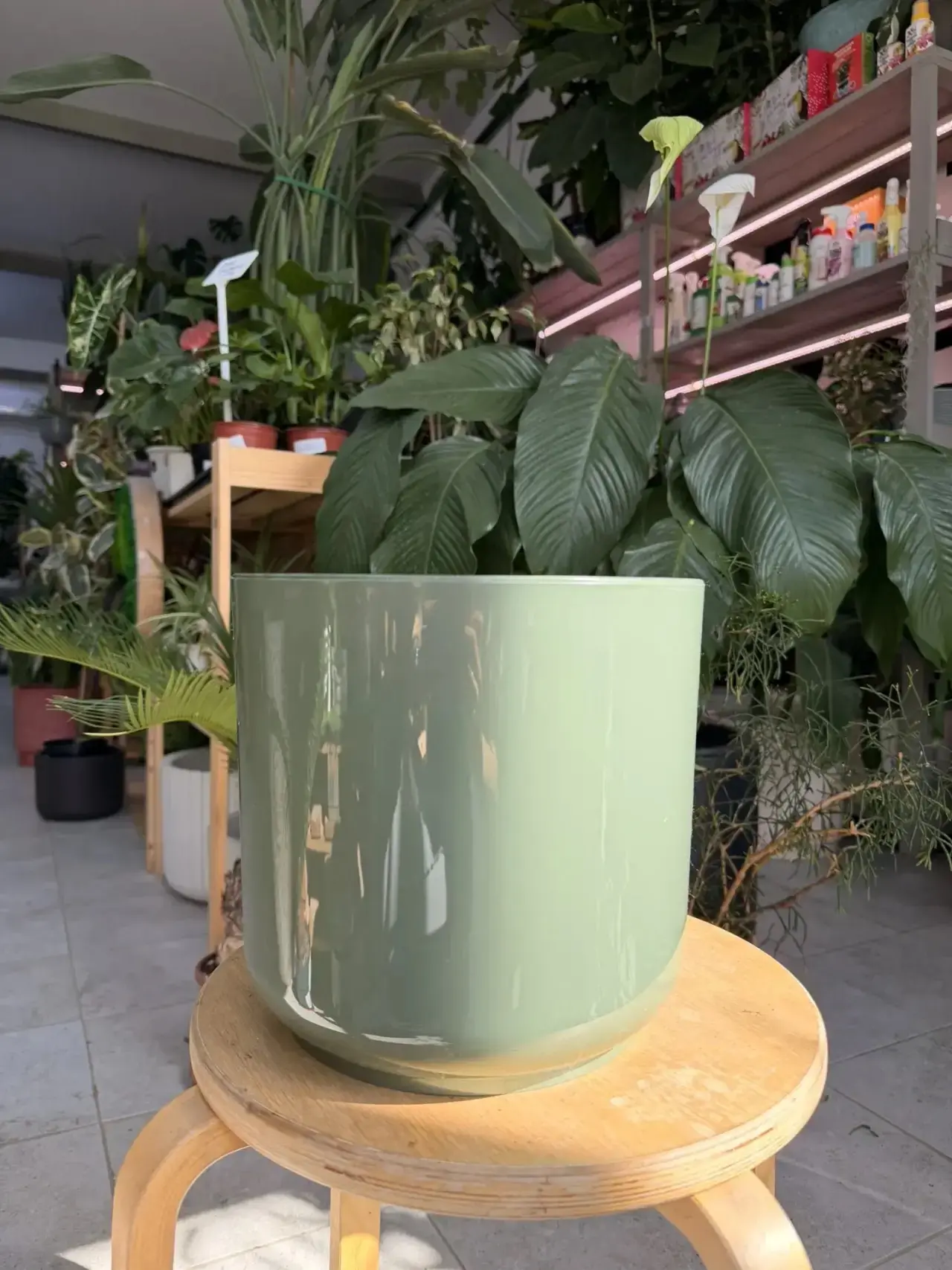 Новинки💚