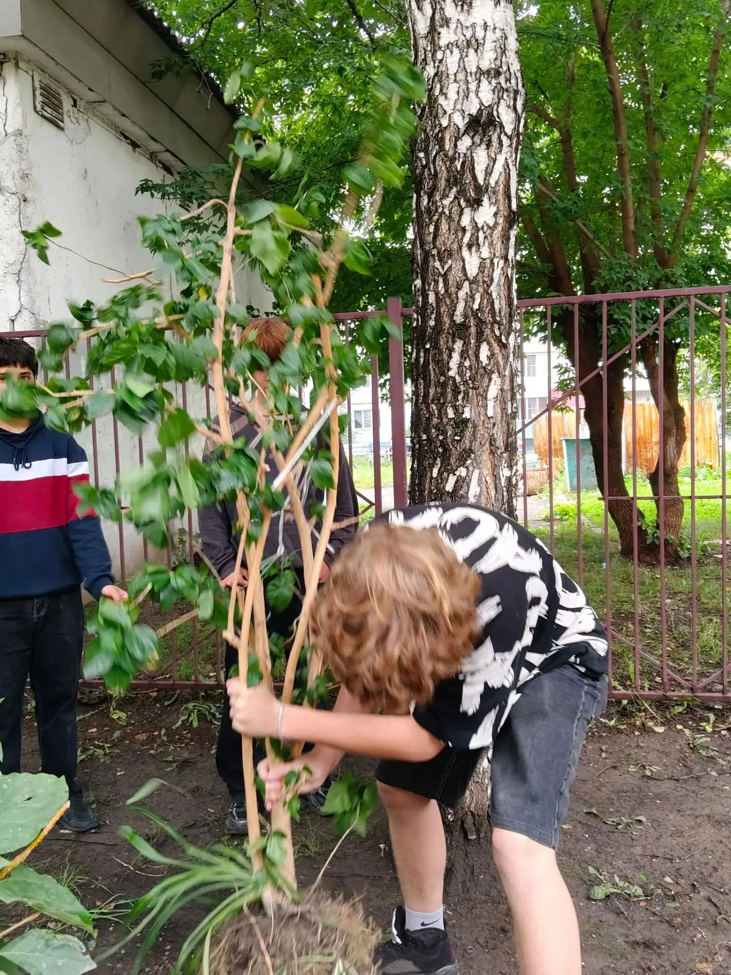 Летняя практика

Одна летняя неделя сменяет другую. Ребята 6-9 классов продолжают благоустройство шк