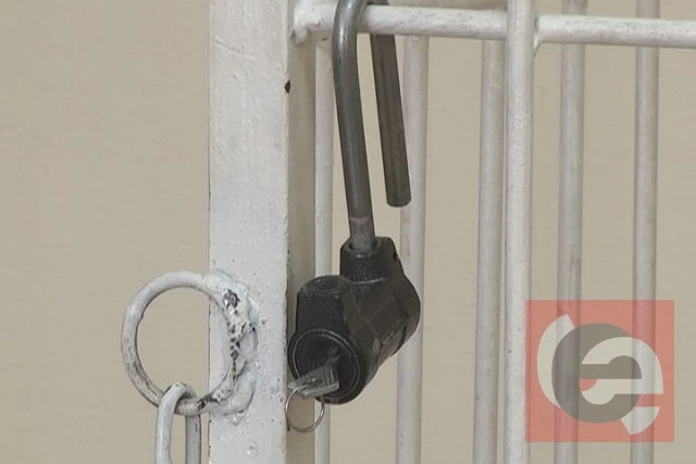 В Новосибирске иностранный дальнобойщик отправится в колонию за «оберег»