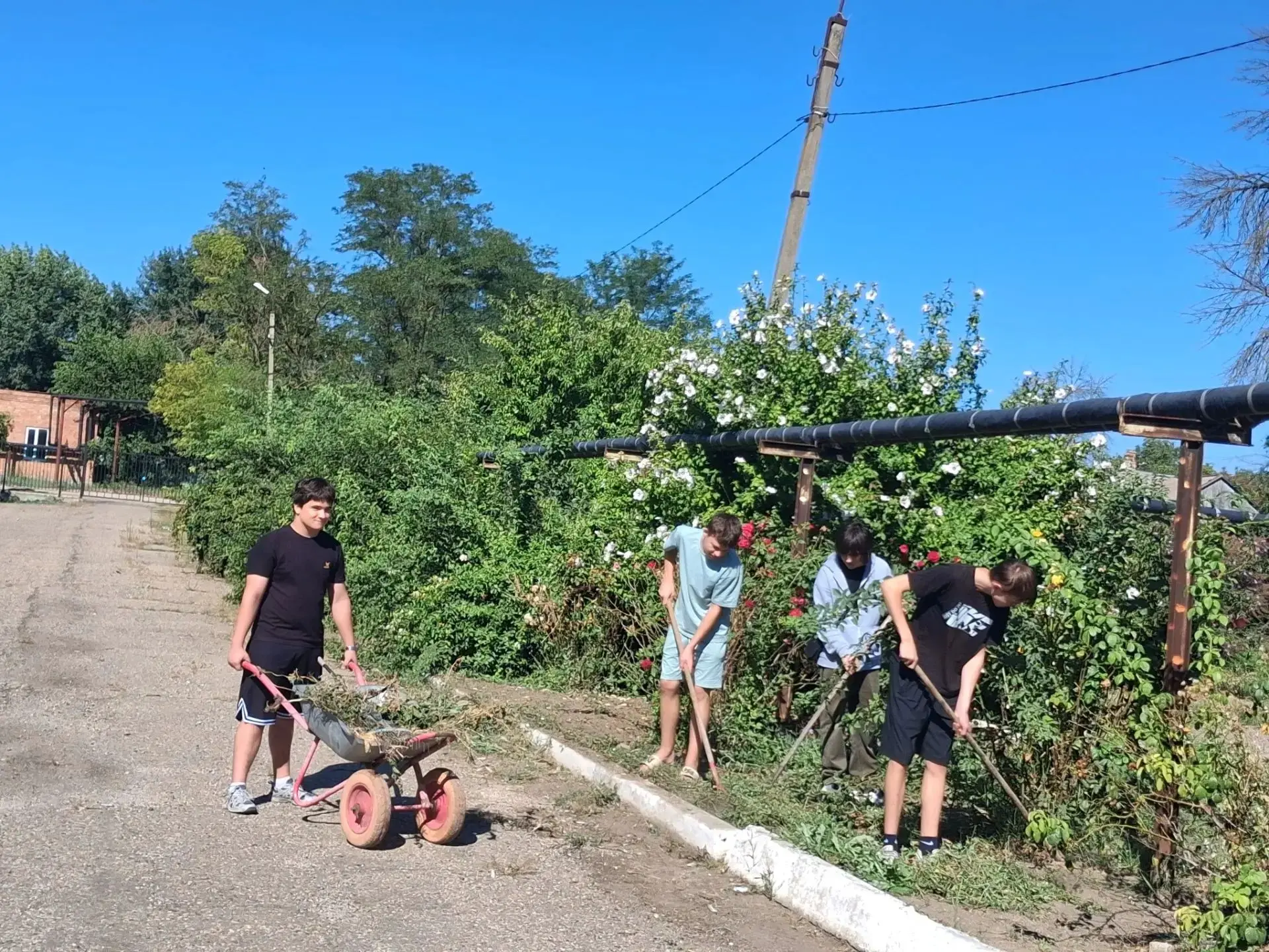 ❗❗Пришкольная практика для учащихся 10 класса окончена! Ребята облагородили клумбы, выр...