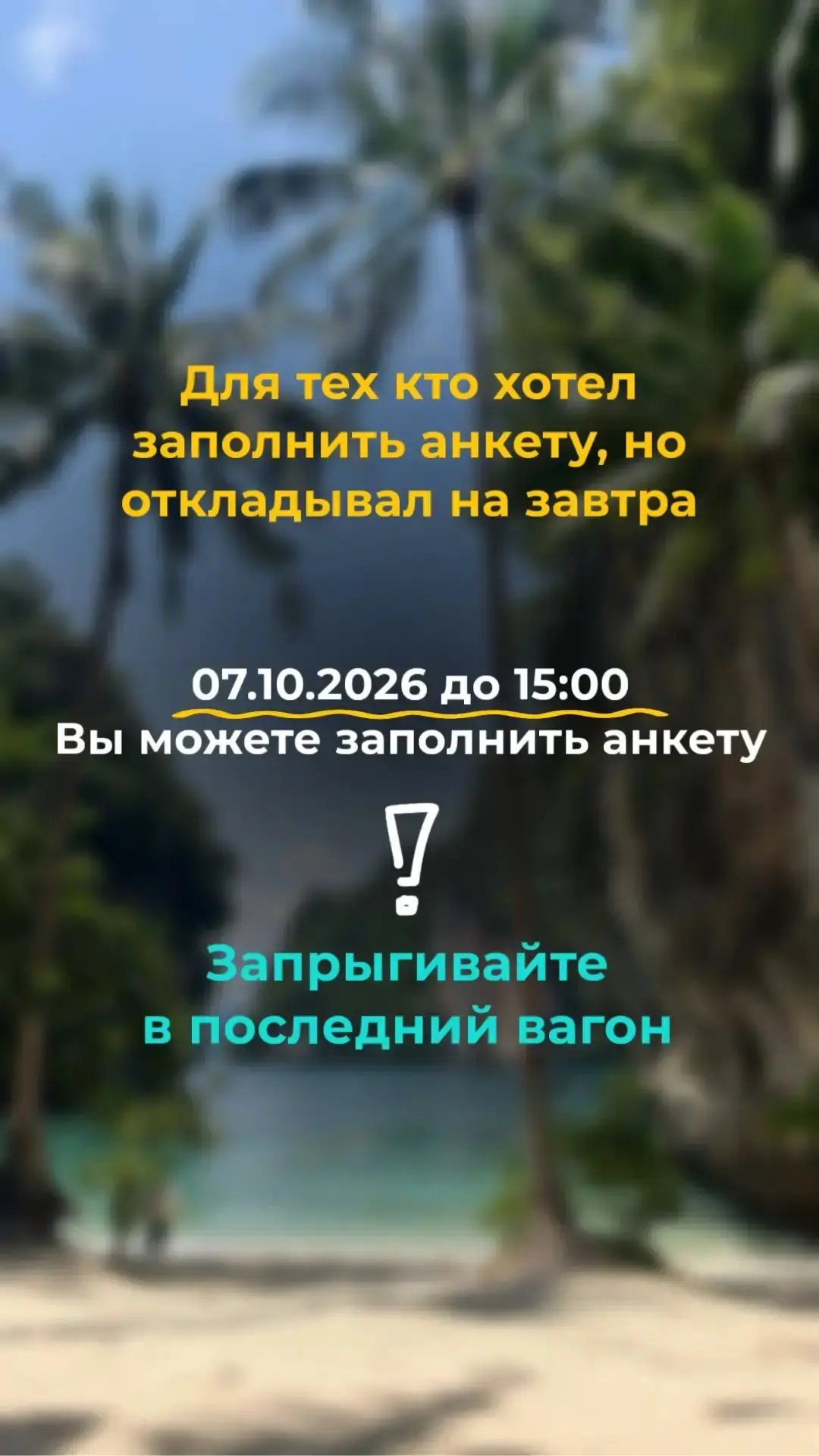 https://forms.gle/Sbp8mi53VZUnXkEA7