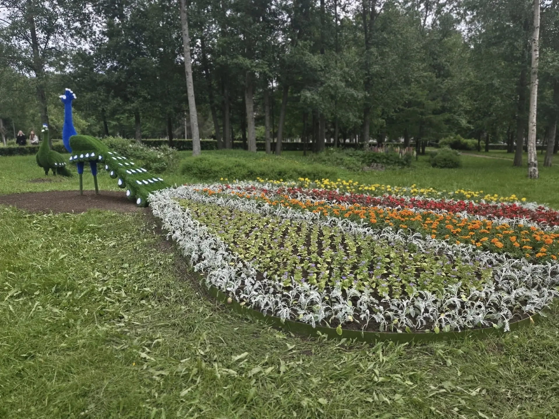 В Зеленогорске появились два новых обитателя.