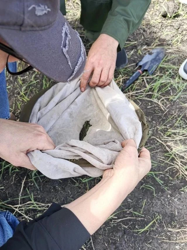 Совместные обследования курганских и казахстанских агрономов

Специалисты Курганского филиала Россел