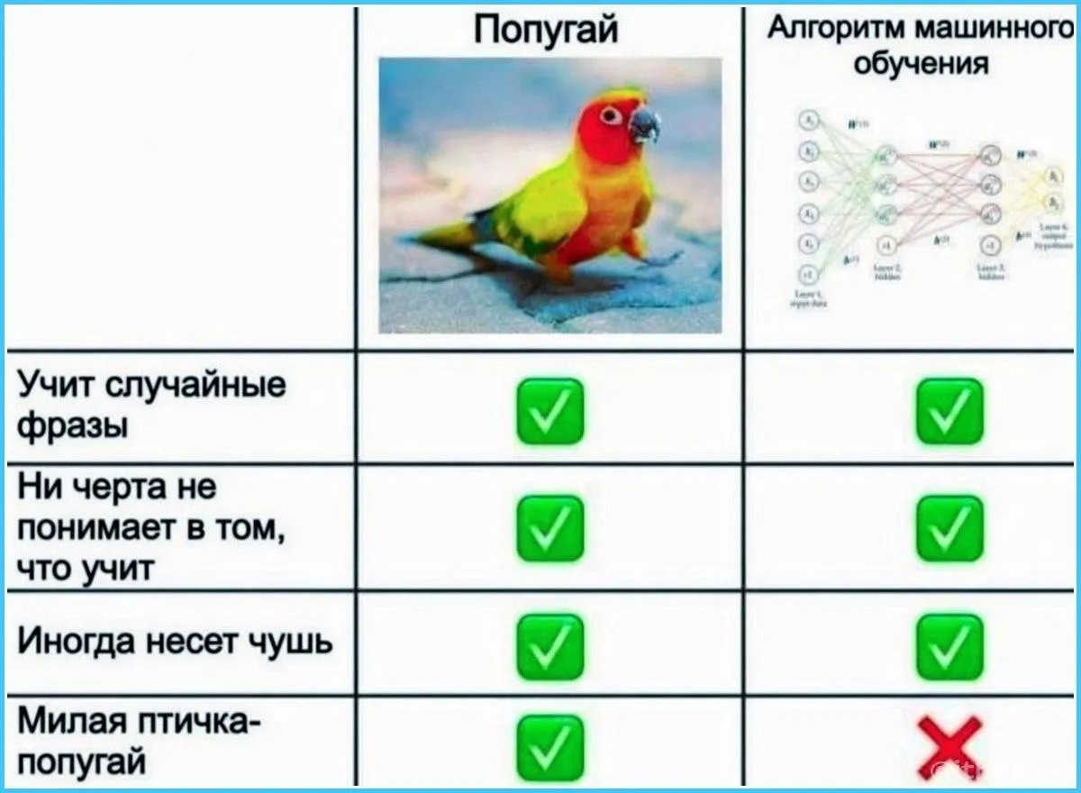 Изображение 6 к публикации «Полезный Парфун»