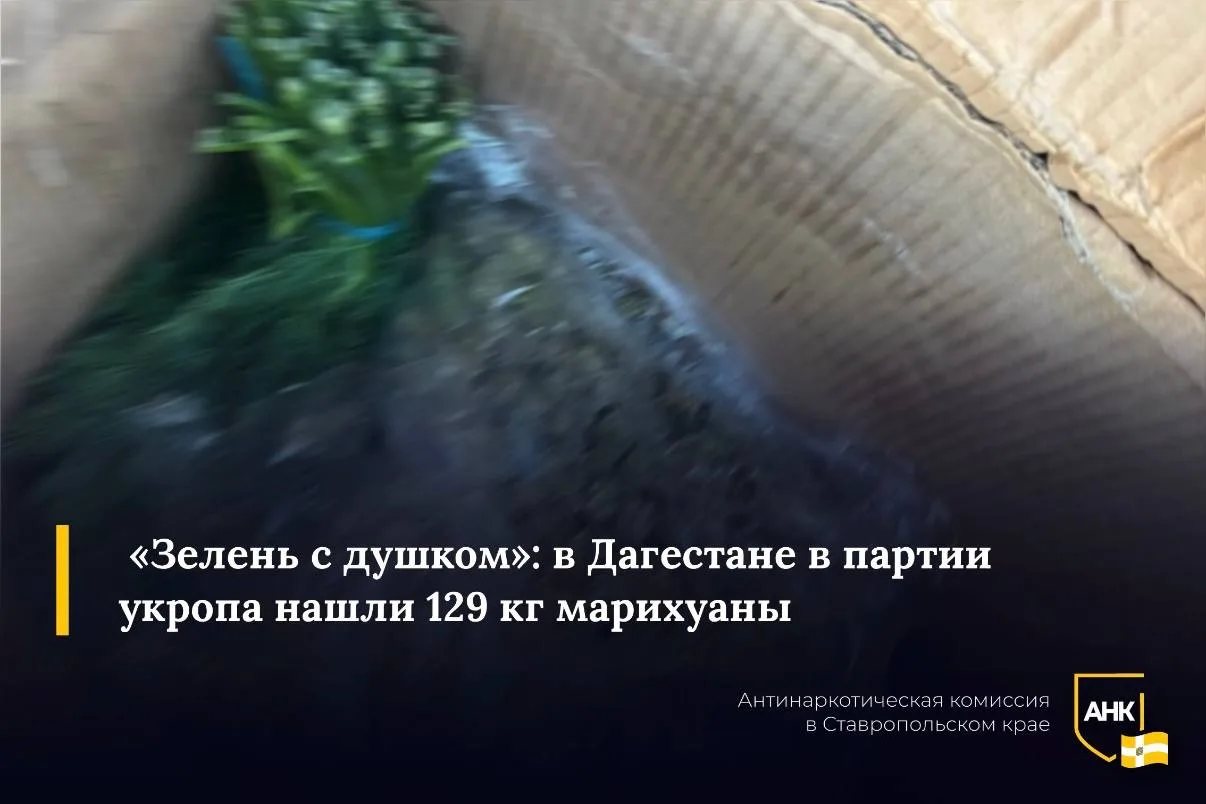 Специалисты дагестанского Россельхознадзора во время фитосанитарного контроля на складе «Виадук» обр