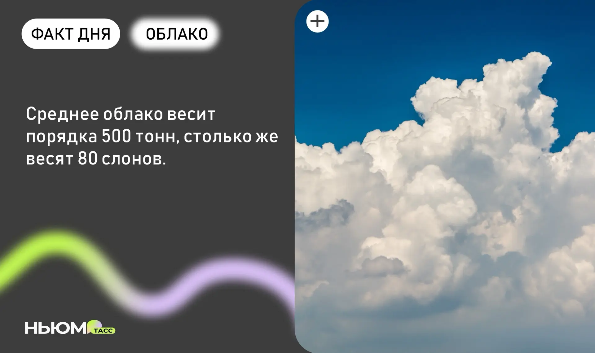Знали?