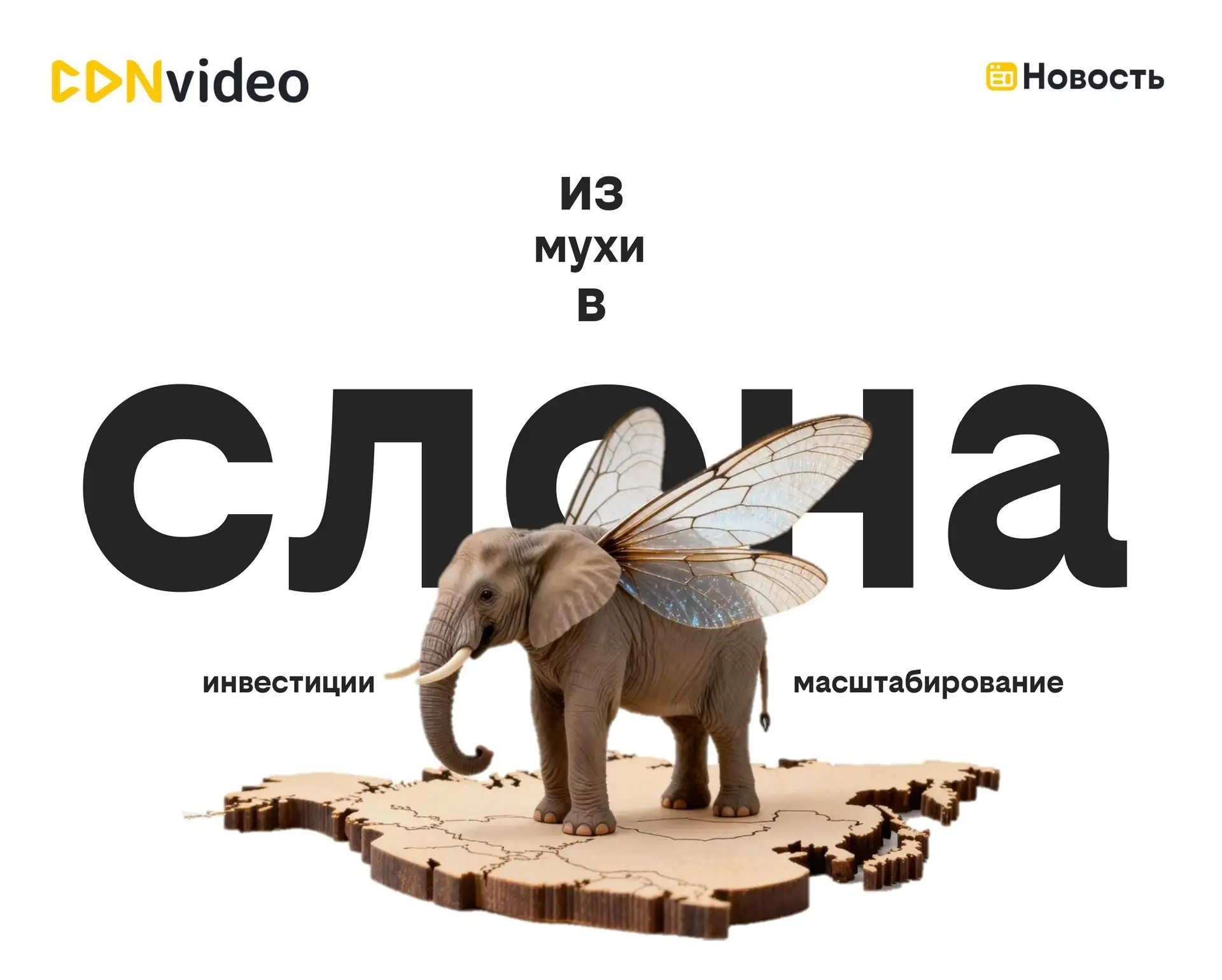 «Из мухи в слона», или почему инвестиции - это средство быстрого масштабирования бизнеса