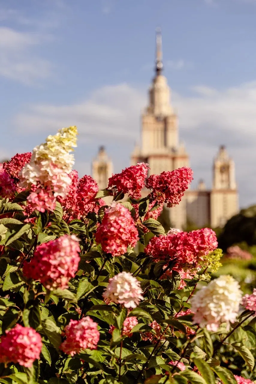 ☀️Солнечные будни в Ботсаду МГУ