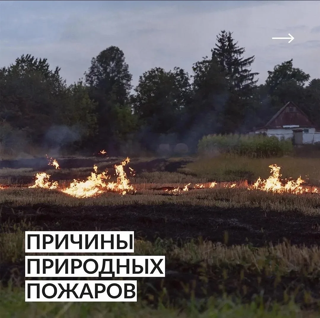 🌲 Лес не прощает ошибок. Разбираем главные причины пожаров.

🔔 В случае возникновения чрезвычайных