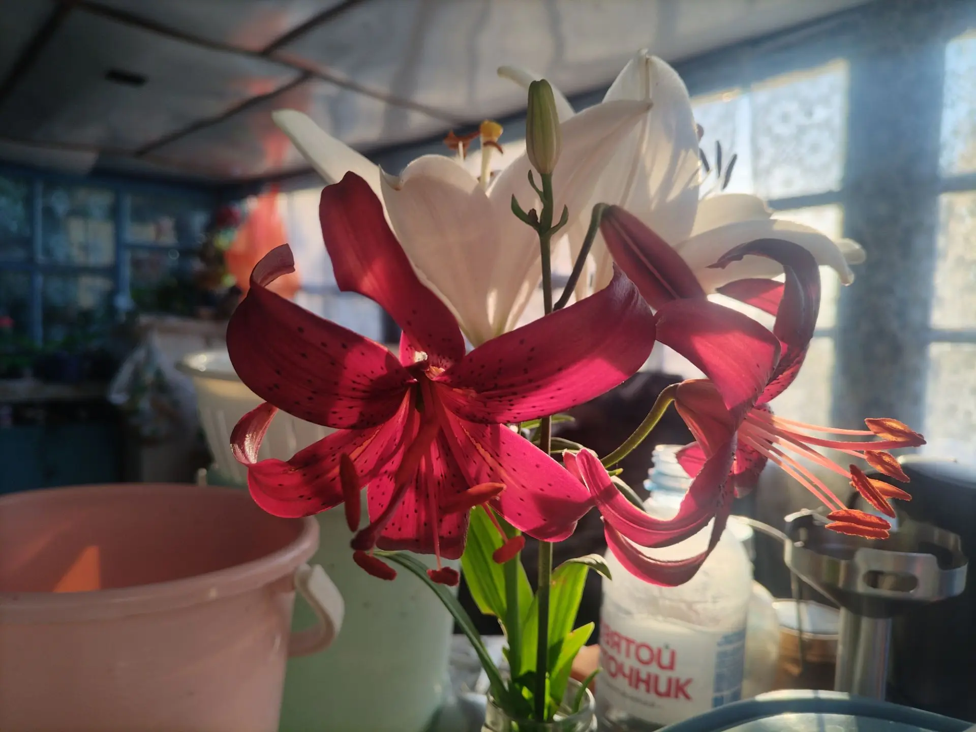 Доброе утро😍