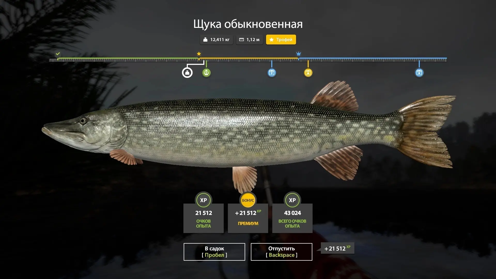 #куори@pp4wikipedia 
🐟 Щука обыкновенная (трофей) 
📌 Координаты 137:100
🎣 Клипса 50