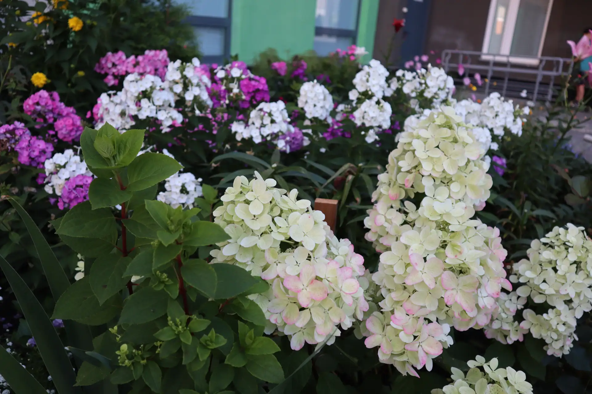 🌷 Прием заявок на конкурс «Лучшая клумба-2026» завершен: жюри приступает к осмотру цветников 

В эт