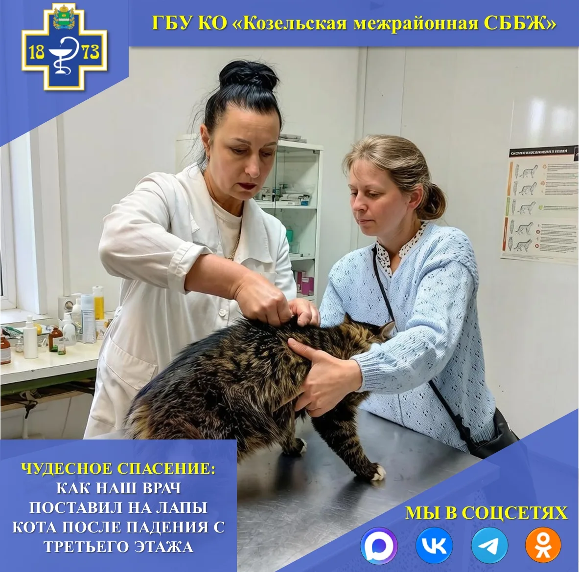 😺ЧУДЕСНОЕ СПАСЕНИЕ: КАК НАШ ВРАЧ ПОСТАВИЛ НА ЛАПЫ КОТА ПОСЛЕ ПАДЕНИЯ С ТРЕТЬЕГО ЭТАЖА
Каждый день в
