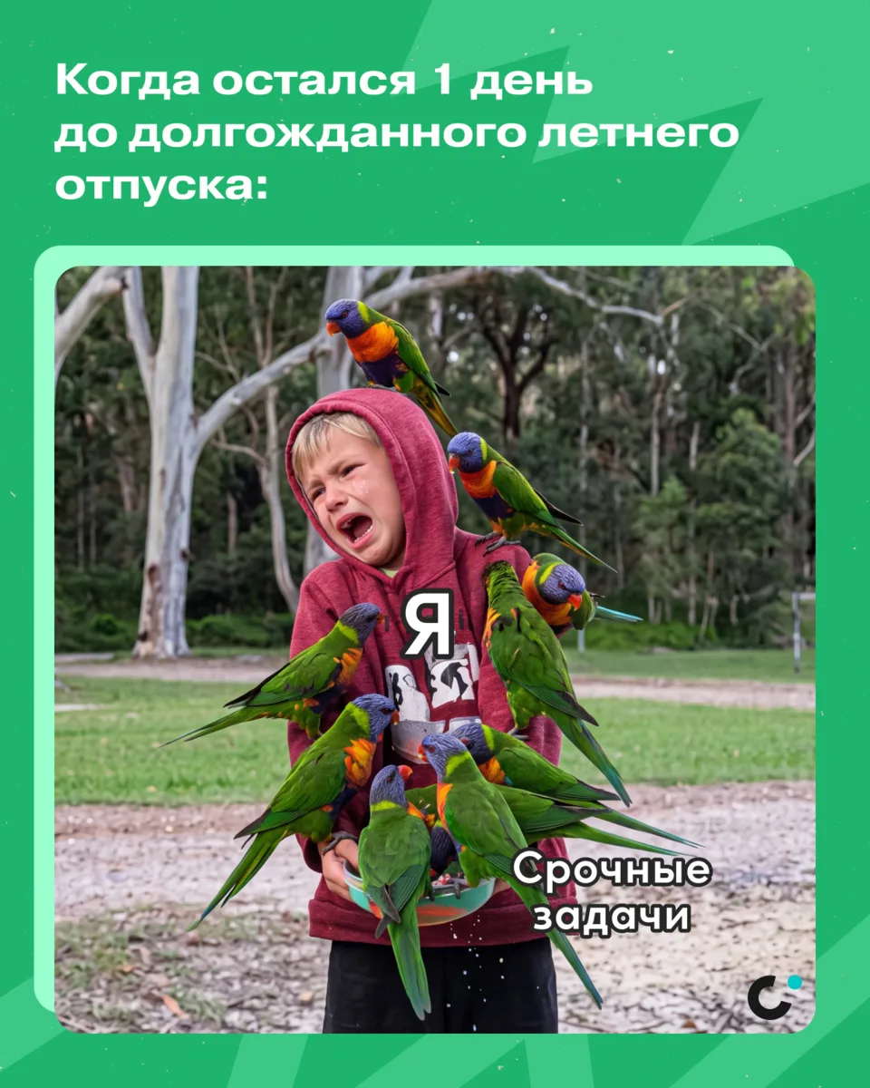 Коллеги, ну как вы?